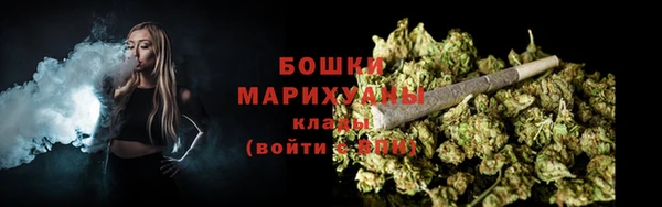 спиды Лиски