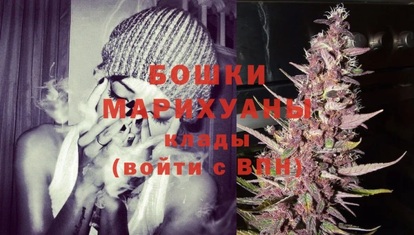 спиды Лиски
